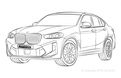 X4 M F98 (2019-)