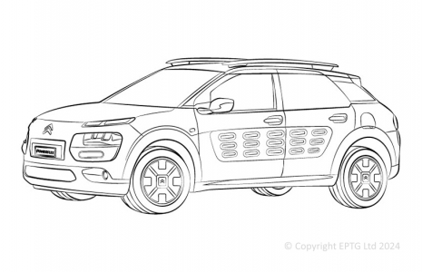 C4 Cactus (2014-)