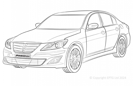 Genesis BH (2008-2012)