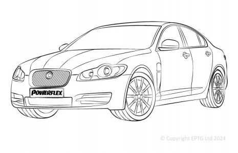 Powerflex Buchsen Jaguar (Daimler) XF, XFR - X250 (2008-)