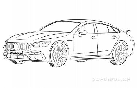 AMG GT X290 (2018-)