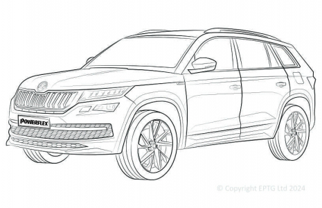 Kodiaq (2017-)