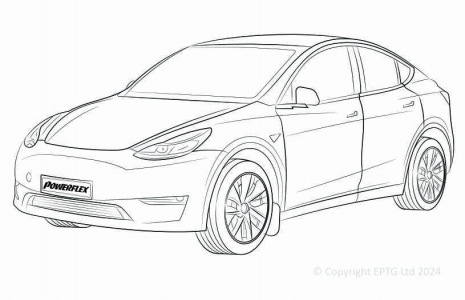 Model Y (2020-)