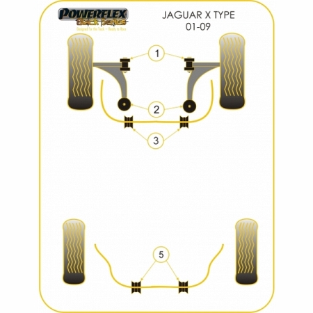 Powerflex Buchsen Stabilisator vorne 19mm für Jaguar (Daimler) X Type (2001-2009) Black Series