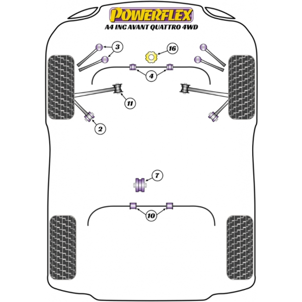 Powerflex Buchsen Audi A4 Quattro (2005 - 2008)